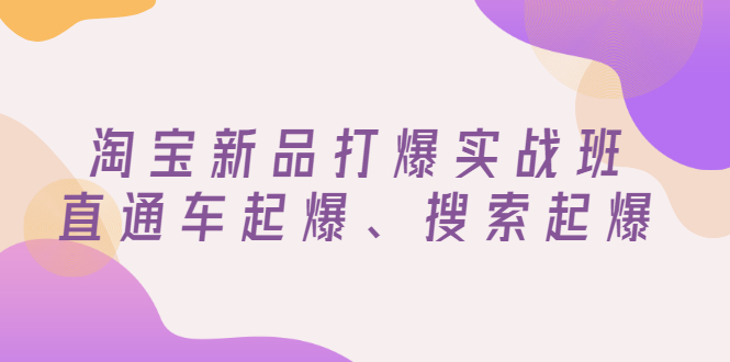 【副业项目3372期】淘宝新品打爆实战班（淘宝店铺如何增加流量和访客）-晴沐网创  