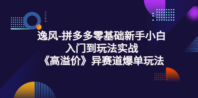 【副业项目3877期】逸风-拼多多新手小白入门到玩法实战，异赛道爆单玩法实操课-晴沐网创  