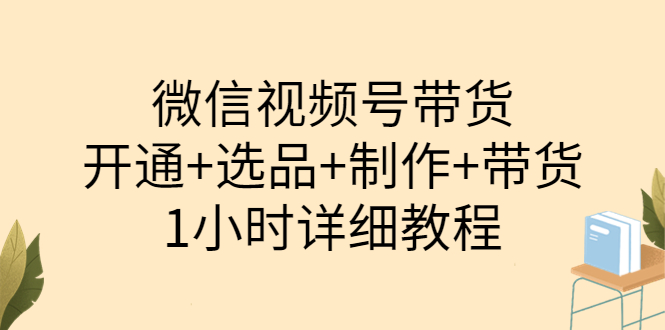 【副业项目3940期】陈奶爸·微信视频号带货：开通+选品+制作+带货（1小时详细教程）-晴沐网创  