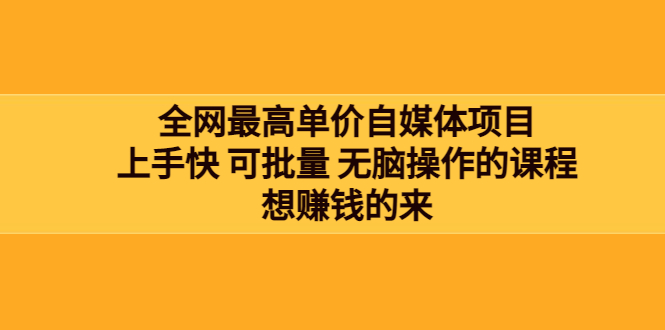 【副业项目3976期】全网最单高价自媒体项目：上手快 可批量 无脑操作的课程，想赚钱的来-晴沐网创  