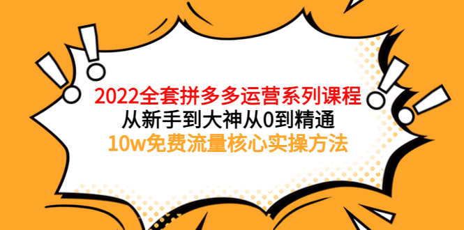 【副业项目4045期】2022全套拼多多运营课程：新手怎么做拼多多电商，10w免费流量核心实操方法-晴沐网创  