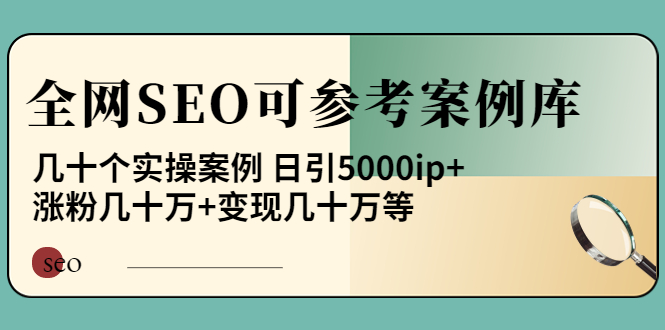 【副业项目4188期】《全网SEO可参考案例库》几十个实操案例 日引5000ip+涨粉百W+变现几十W等-晴沐网创  