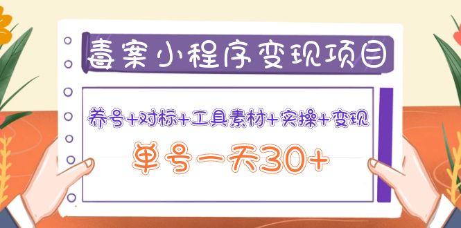 【副业项目4214期】图文案小程序变现项目：养号+对标+工具素材+实操+变现，单号一天30+-晴沐网创  