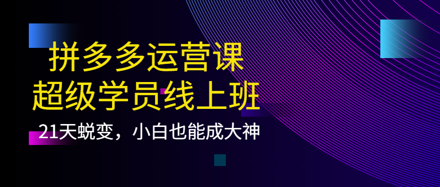 【副业项目4260期】拼多多运营课：超级学员线上班，21天蜕变，小白也能成大神-晴沐网创  