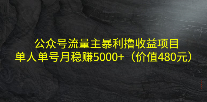 【副业项目4325期】公众号流量主暴利撸收益项目，单人单号月稳赚5000+（价值480元-晴沐网创  