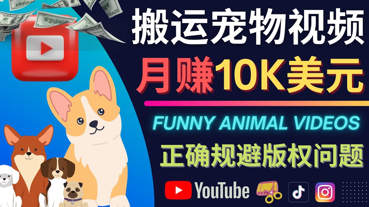 【副业项目4509期】搬运TIKTOK视频到YouTube，并进行二次创作，月赚1万美元以上-晴沐网创  