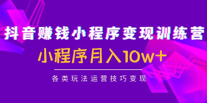 【副业项目4765期】抖音赚钱小程序变现训练营：小程序月入10w+各类玩法运营技巧变现-晴沐网创  