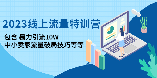 【副业项目4809期】2023线上流量特训营：包含暴力引流10W+中小卖家流量破局技巧等等-晴沐网创  