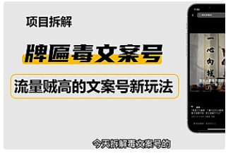 【副业项目4912期】2023抖音快手毒文案新玩法，牌匾文案号，起号快易变现-晴沐网创  