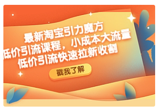 【副业项目4943期】最新淘宝引力魔方低价引流实操：小成本大流量，低价引流快速拉新收割-晴沐网创  