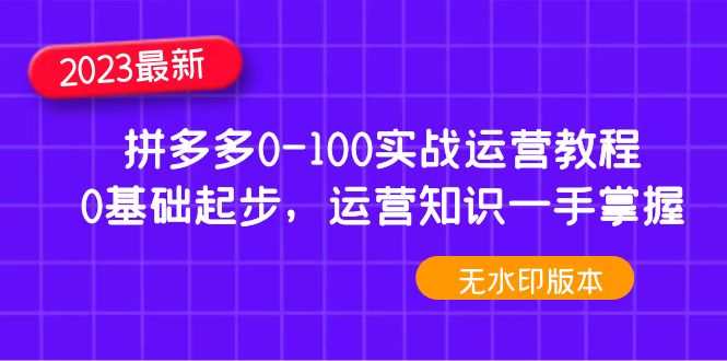 【副业项目5048期】2023拼多多0-100实战运营教程，0基础起步，运营知识一手掌握-晴沐网创  