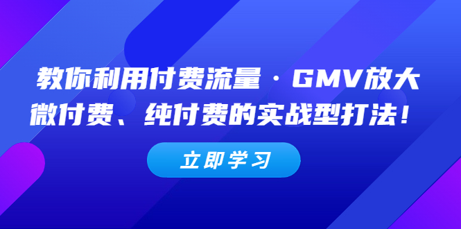 【副业项目5265期】教你利用付费流量·GMV放大，微付费、纯付费的实战型打法-晴沐网创  