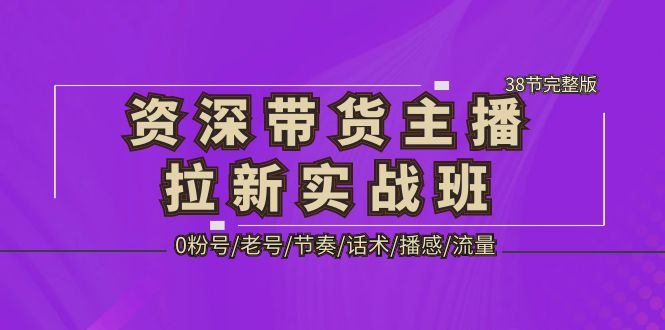 【副业项目5333期】资深·带货主播拉新实战班，0粉号/老号/节奏/话术/播感/流量-38节完整版-晴沐网创  