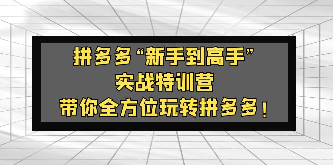 【副业项目5317期】拼多多“新手到高手”实战特训营：带你全方位玩转拼多多-晴沐网创  