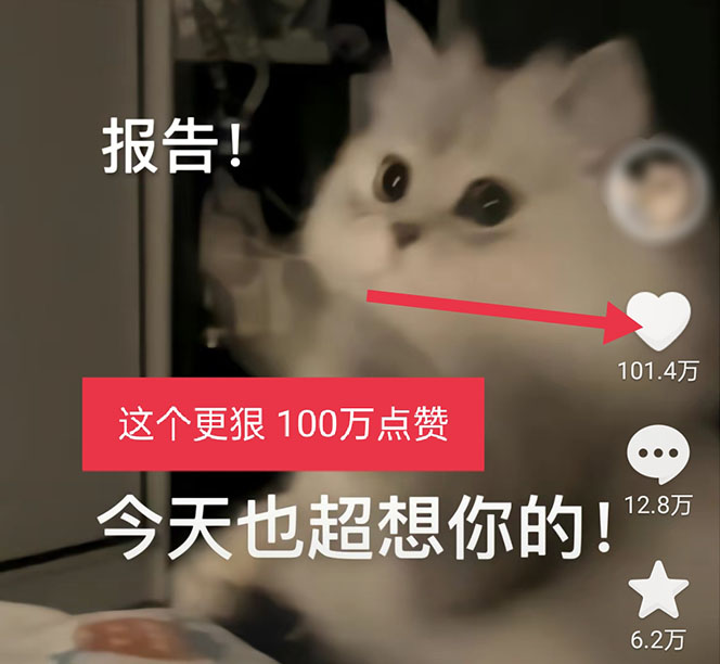 【副业项目5588期】黑科技纯原创可爱猫咪图片，全网精准引流，实操5个VX号被加频繁插图3