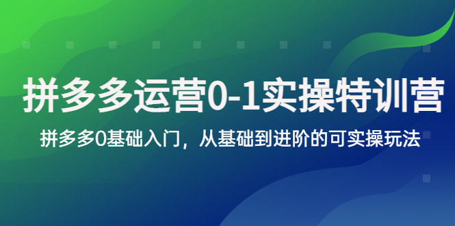 【副业项目5801期】拼多多-运营0-1实操训练营，拼多多0基础入门，从基础到进阶的可实操玩法-晴沐网创  