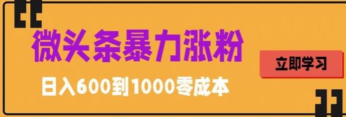 【副业项目5970期】微头条暴力涨粉技巧搬运文案就能涨几万粉丝，简单0成本，日赚600-晴沐网创  