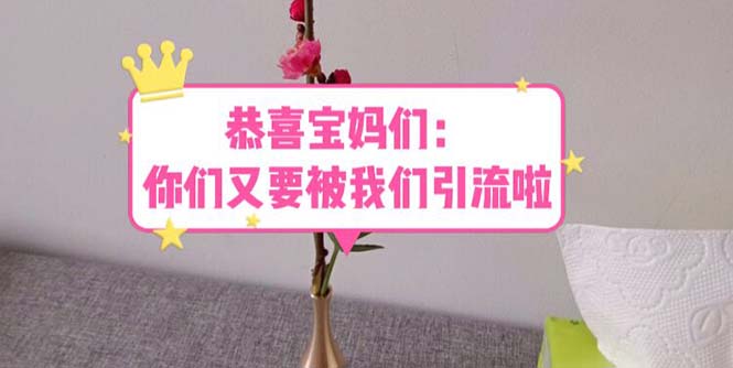 【副业项目5918期】恭喜宝妈们：你们又要被我们引流了（教程+222g资料）-晴沐网创  