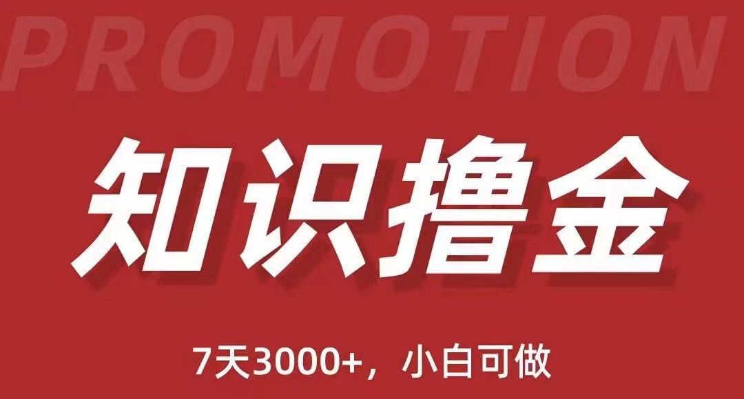 【副业项目5702期】抖音知识撸金项目：简单粗暴日入1000+执行力强当天见收益(教程+资料)-晴沐网创  