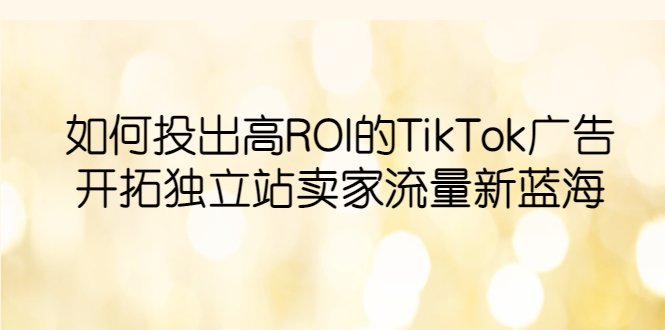 【副业项目6124期】如何投出高ROI·TikTok广告，开拓独立站卖家流量新蓝海-晴沐网创  