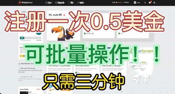 【副业项目6345期】国外项目注册一次0.5美金 只需三分钟无脑操作 可批量放大 小白工作室福利-晴沐网创  