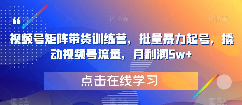 【副业项目6254期】视频号矩阵带货训练营，批量暴力起号，撬动视频号流量，月利润5w+-晴沐网创  