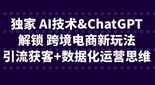 【副业项目6780期】独家 AI技术&ChatGPT解锁 跨境电商新玩法，引流获客+数据化运营思维-晴沐网创  