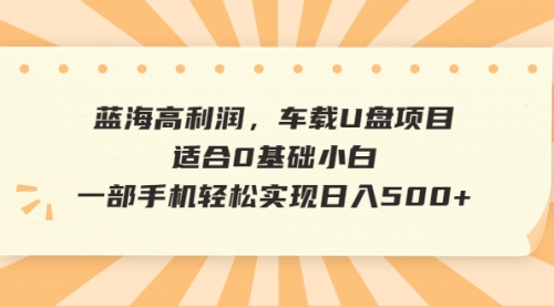 【副业项目6781期】蓝海高利润，车载U盘项目，适合0基础小白，一部手机轻松实现一天500+-晴沐网创  