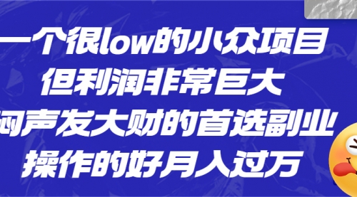 【副业项目6782期】一个很low的小众项目，但利润非常巨大，闷声发大财的首选副业，月入过万-晴沐网创  