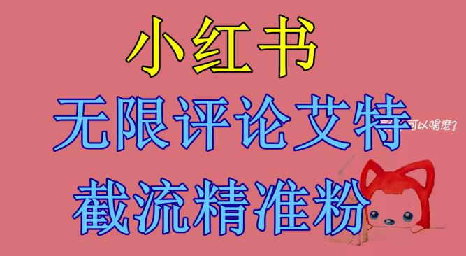 【副业项目6846期】小红书无限评论艾特截流精准粉（软件+教程）-晴沐网创  