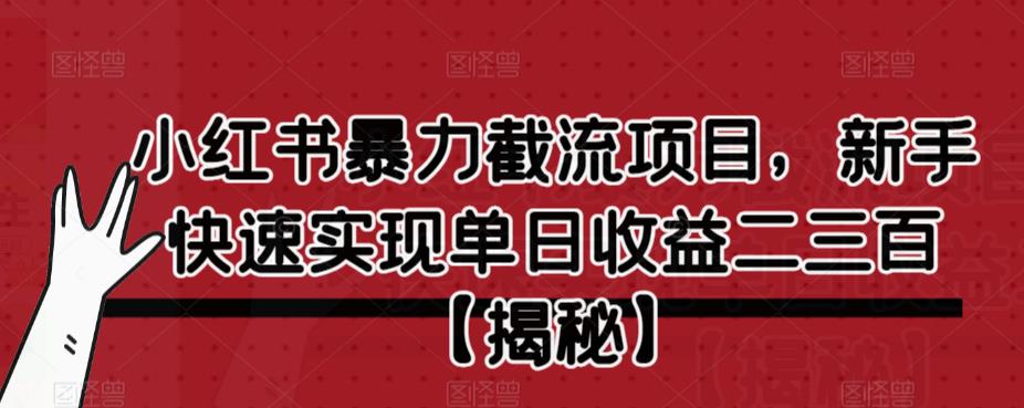 【副业项目6889期】小红书暴力截流项目，新手快速实现单日收益二三百【仅揭秘】-晴沐网创  