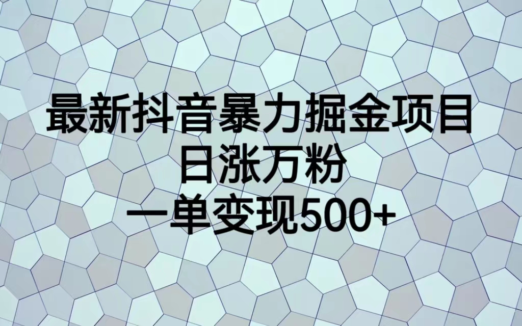 【副业项目6939期】最新抖音暴力掘金项目，日涨万粉，一单变现500+-晴沐网创  