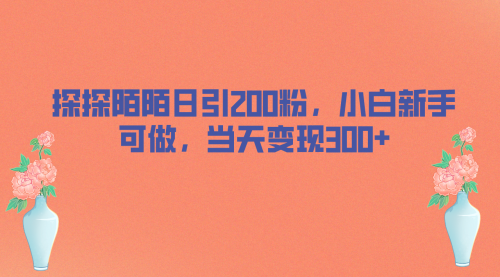 【副业项目7026期】探探陌陌日引200粉，小白新手可做，当天就能变现300+-晴沐网创  