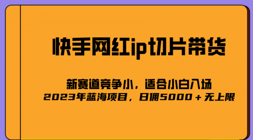 【副业项目7037期】2023爆火的快手网红IP切片，号称日佣5000＋的蓝海项目，二驴的独家授权-晴沐网创  