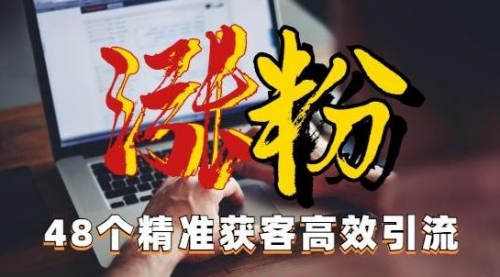 【副业项目7097期】独家分享48个引流绝技，再没粉丝只能怪自己了！-晴沐网创  