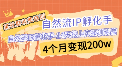 【副业项目7109期】自然流IP孵化手-14天线上实操训练营 4个月变现200w-晴沐网创  