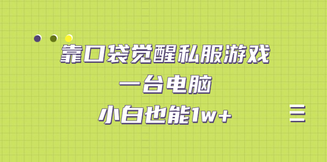 【副业项目7248期】靠口袋觉醒私服游戏，一台电脑，小白也能1w+（教程+工具+资料）-晴沐网创  