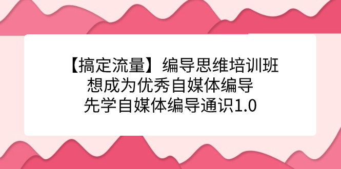 【副业项目7456期】编导思维培训班，想成为优秀自媒体编导先学自媒体编导通识1.0-晴沐网创  