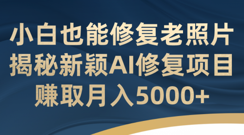 【副业项目7218期】小白也能修复老照片！揭秘新颖AI修复项目-晴沐网创  