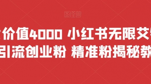 【副业项目7956期】价值4000 小红书无限艾特暴力引流创业粉 精准粉揭秘教程-晴沐网创  