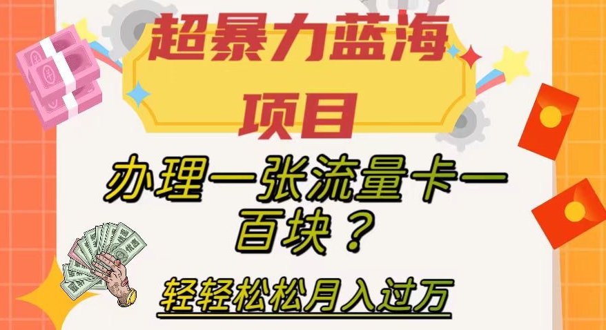 【副业项目8024期】超暴力蓝海项目，办理一张流量卡一百块？轻轻松松月入过万，保姆级教程【揭秘】-晴沐网创  