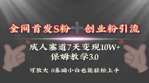 【副业项目8506期】成人用品赛道7天变现10w+保姆教学3.0-晴沐网创  