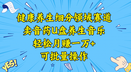 【副业项目8638期】健康养生细分领域赛道，卖音药U盘养生音乐，轻松月赚一万+，可批量操作-晴沐网创  