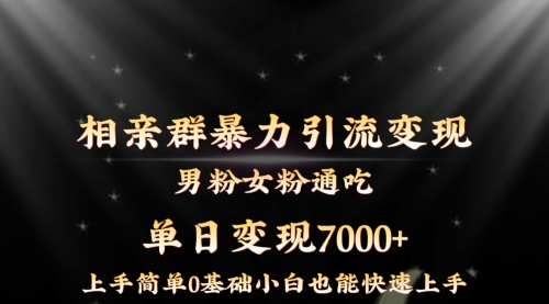 【副业8845期】相亲群暴力引流男粉女粉通吃变现玩法，单日变现7000+保姆教学1.0-晴沐网创  