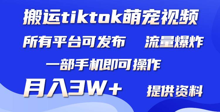 搬运Tiktok萌宠类视频，一部手机即可。所有短视频平台均可操作，月入3W+-晴沐网创  