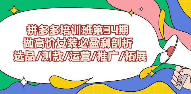 拼多多培训班第34期：做高价女装必盈利剖析  选品/测款/运营/推广/拓展-晴沐网创  