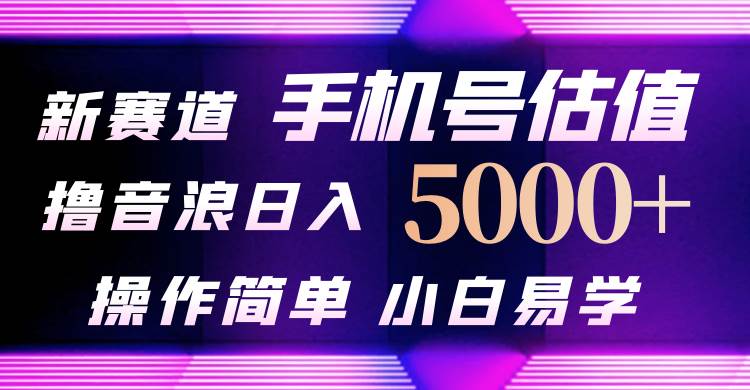 抖音不出境直播【手机号估值】最新撸音浪，日入5000+，简单易学，适合…-晴沐网创  