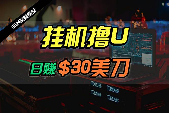 日赚30美刀，2024最新海外挂机撸U内部项目，全程无人值守，可批量放大-晴沐网创  