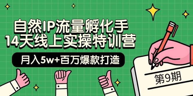 自然IP流量孵化手 14天线上实操特训营【第9期】月入5w+百万爆款打造 (74节)-晴沐网创  