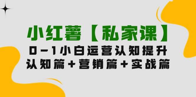 小红薯【私家课】0-1玩赚小红书内容营销，认知篇+营销篇+实战篇（11节课）-晴沐网创  